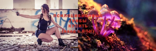 дурь Алексеевка