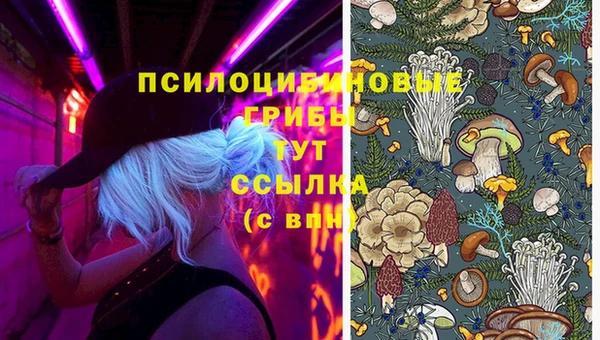 ECSTASY Аркадак