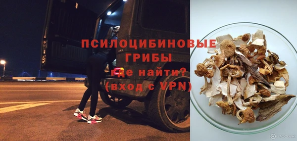 твердый Алексин