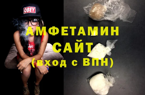 индика Алзамай