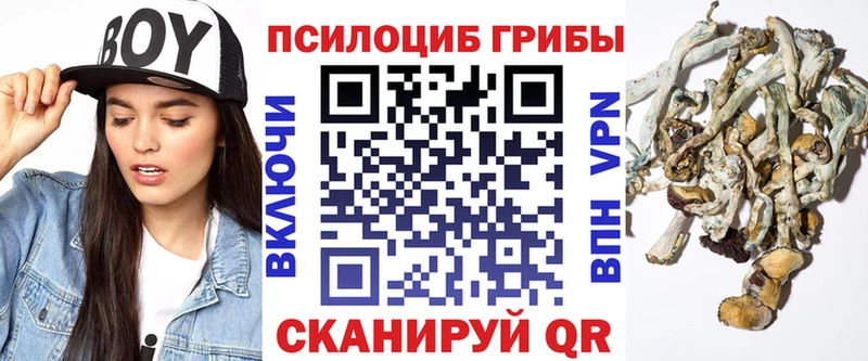 Псилоцибиновые грибы MAGIC MUSHROOMS  цены наркотик  ОМГ ОМГ рабочий сайт  Заполярный 